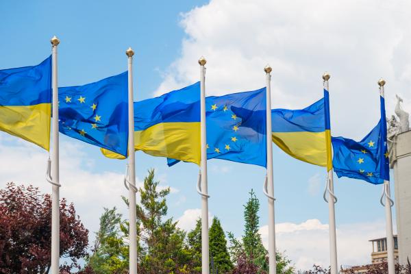 Fleeing the war in Ukraine? The EU Talent Pool Pilot can help you to find a job in the EU