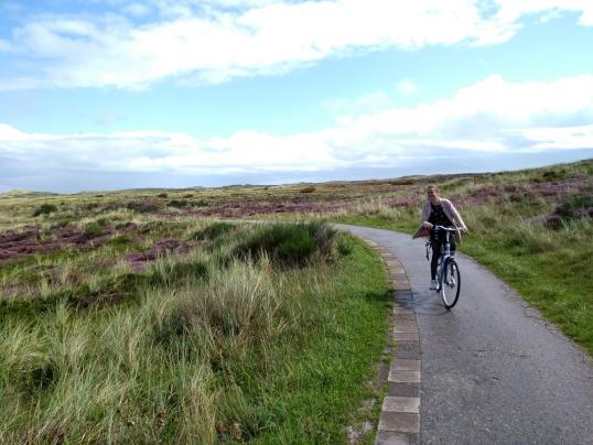 French accountant finds new challenge in the Netherlands with Your first EURES job