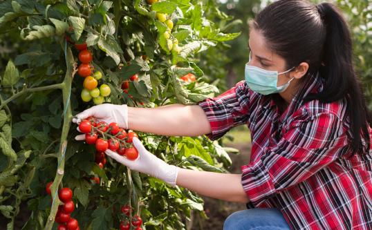 Four things you should know about seasonal work in 2021