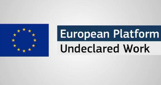 How does undeclared work in the EU affect you?