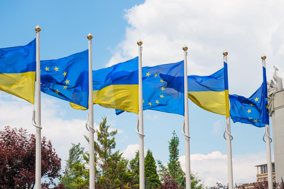 Fleeing the war in Ukraine? The EU Talent Pool Pilot can help you to find a job in the EU