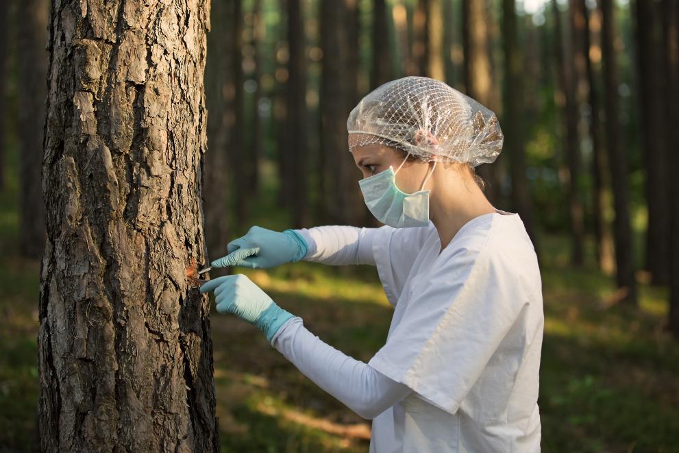 In-demand green jobs in 2023